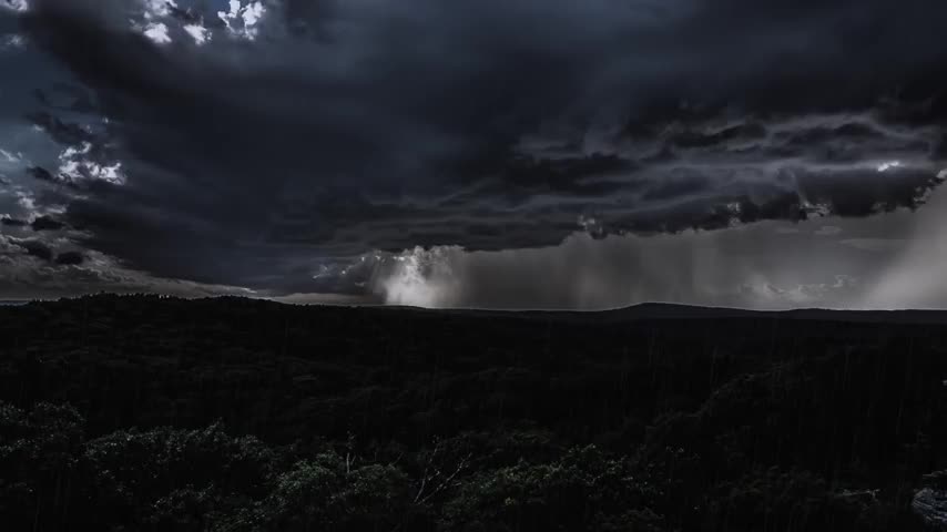 😴🌧️🍃 Rain on Leaves 10 Hours - Uwharrie National Forest