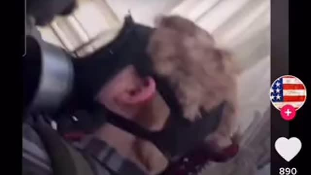 Capitol building inside job