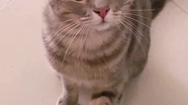 what is she saying??