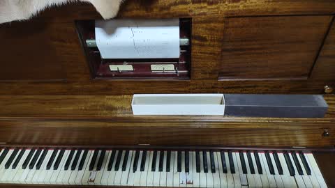 Antique Player Piano - 1913