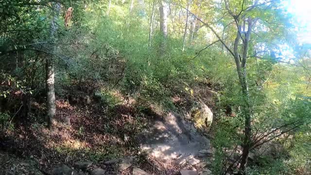 Hiking the Lynchburg Virginia Blackwater Creekside Trail Part 1