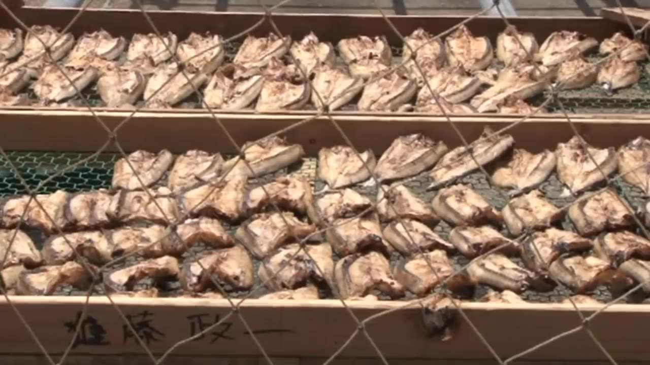 Japanese Flying Fish Catching and Processing - How to fishing Flying Fish - Fish Processing Plant