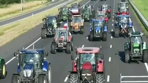 Dutch farmers still going strong despite no mainstream media coverage of their plight.