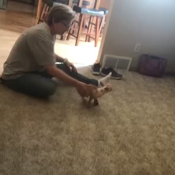 Little lady with a knee splint