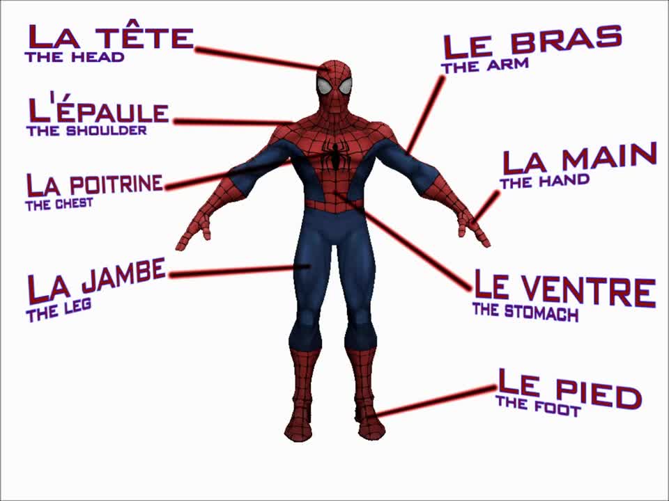 Louisiana French - Major body parts