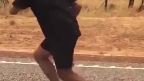 Did anybody knows this animal? 🤣