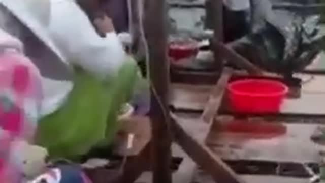 Must watch👀 Meats and seafoods were injected with Chemicals