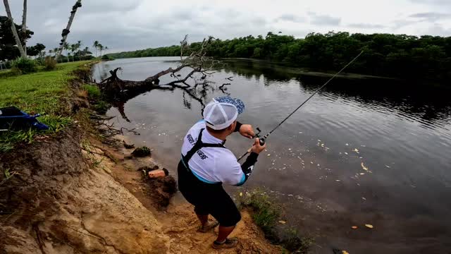 Pescaria de Robalo no Mangue - Snook fishing