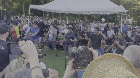 A Powerful and Strengthening Haka was performed for the Men at the Brisbane Rally