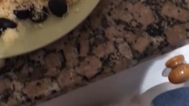 White dog trying to get food on plate