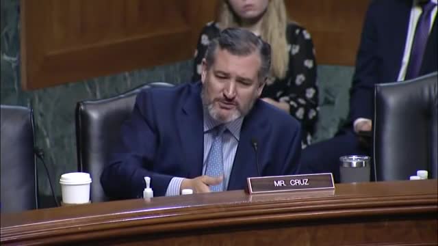 'Do You Agree With What She Said There?': Ted Cruz Presses Nominee On Anti-Police Statement