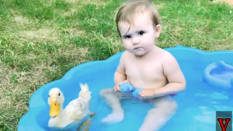 Funny Cute Baby Reaction to Duckling in the Pool,