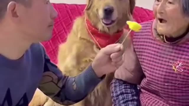 You can mess with Me but not Grandma!