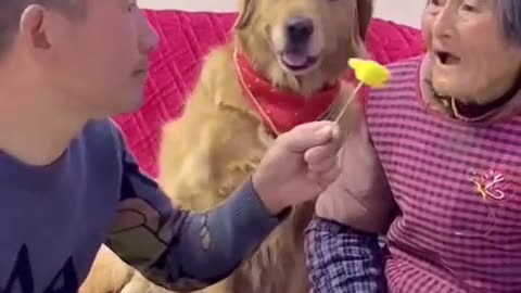 You can mess with Me but not Grandma!