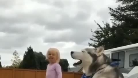 Who does it better ? Contest between little kid and dog