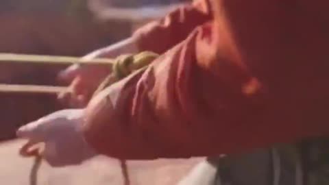 HOW DO WE the PEOPLE take back control of OUR GOVERNMENT from freeMASONS ?