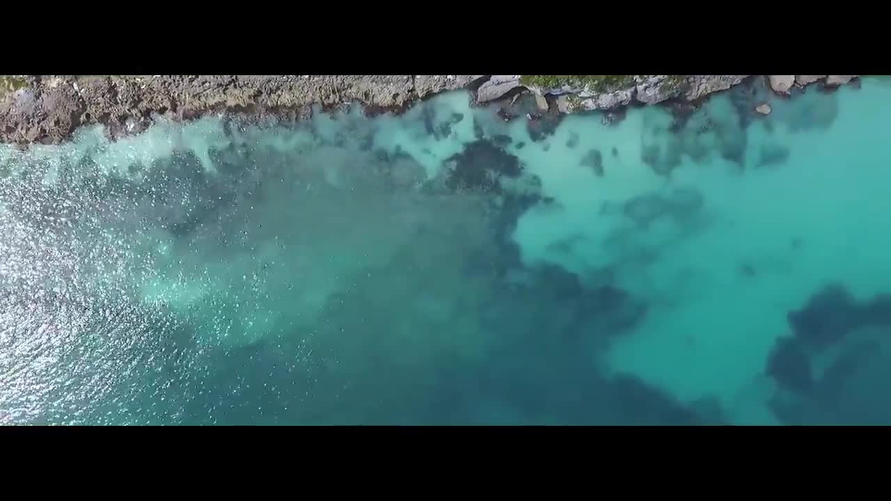 Traveling free