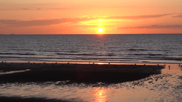 Red sunset, sea and waves