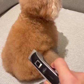 Why did you do that..!