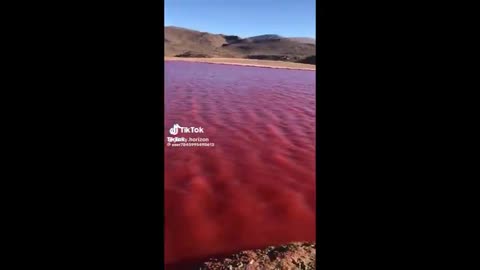 THE NILE RIVER TURNED RED ON NOVEMBER 10, 2023