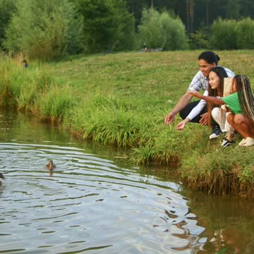 A Family Feeding Ducks on the Lake