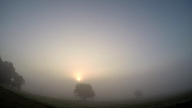 Sun Rise 7 10 22 63f/17c