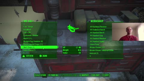 Silence Falls In The Library; Let's Play Fallout 4, Ep 57