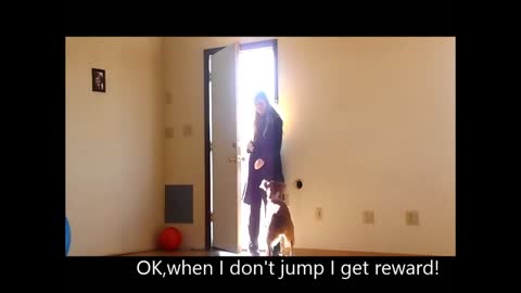 See how I cured Maggie's jumping problem…