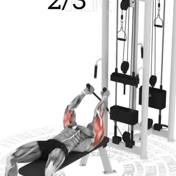 Best Triceps Workout For Men And Women