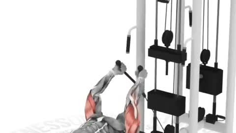 Best Triceps Workout For Men And Women