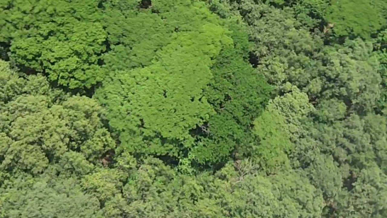 Gyrocopter over Costa Rica!