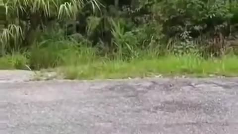 Olhem só o que vem