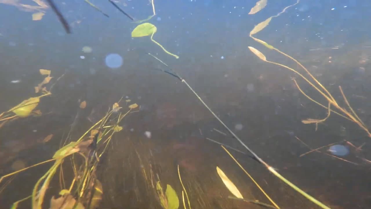 Underwater Adventure