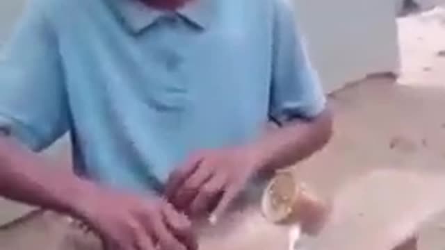This is the last video you want watch today