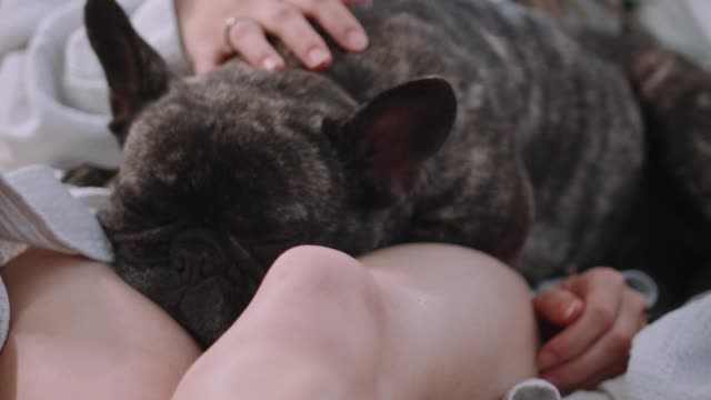 A Pet Dog on the Bed while Mother and Baby is Sleeping