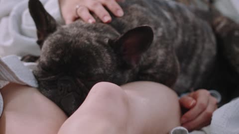 A Pet Dog on the Bed while Mother and Baby is Sleeping