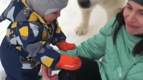 Mom and Little boy walking with their favorite dog .