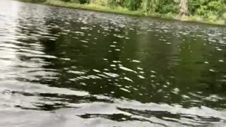 Patriot Fishing part 2-5