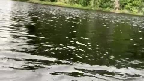 Patriot Fishing part 2-5