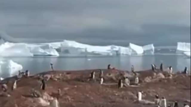 Antarctica is really amazing to watch vlog..