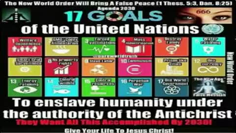 THE ILLUSION OF FREEDOM