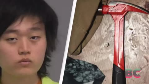 Gamer accused of flying across country to try to kill online rival