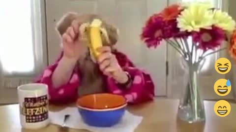 Dog Having Breakfast Funny Video