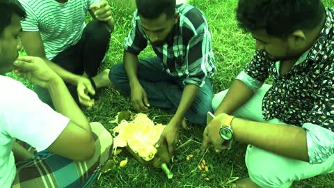 Bangladesh Jackfruit Eating My Friend's village l Jackfruit Eating