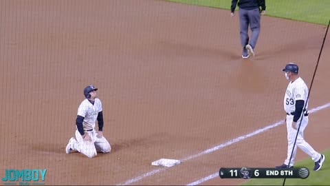 Cat on the field, a breakdown -2021