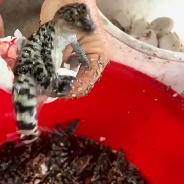 Welcome to new world