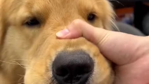 Brushing time