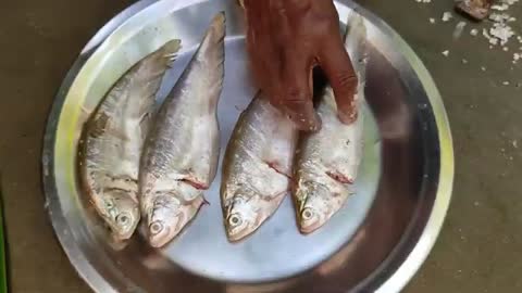 River FOLI FISH cooking recipe with fresh MULO & BEGUN by santali TRIBE couple-12