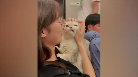 Funny Pets!