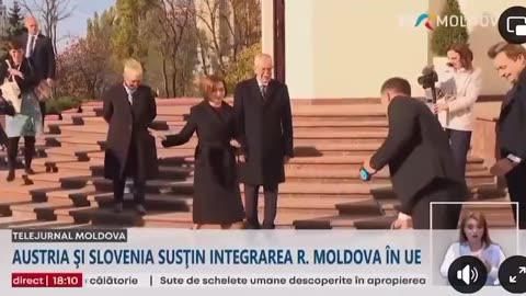 In Moldova pana si cainii sunt putinisti? :))))
